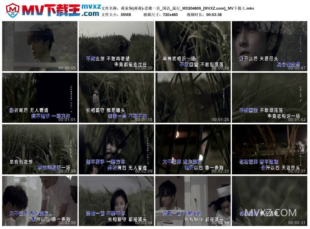 蒋家驹(蒋蒋)-悲歌一首_国语_流行_MD204809